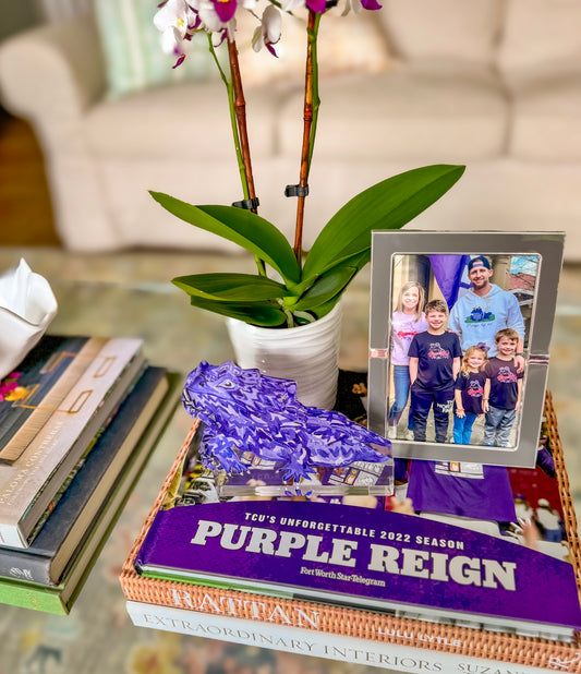 Horned Frog Acrylic Block