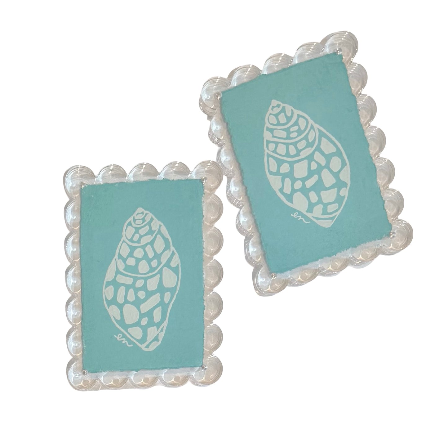 Summer Shells- Aqua